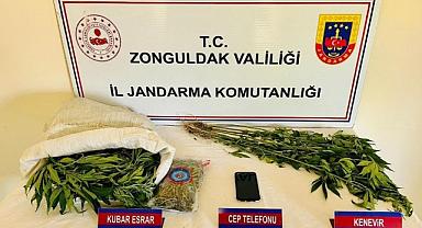 Arazisinde esrar ve kenevir ele geçirildi:1 tutuklu  