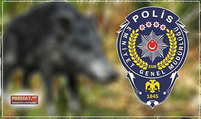 Domuz diye akrabasını vurdu!