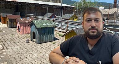 Her şey sokak hayvanları için..