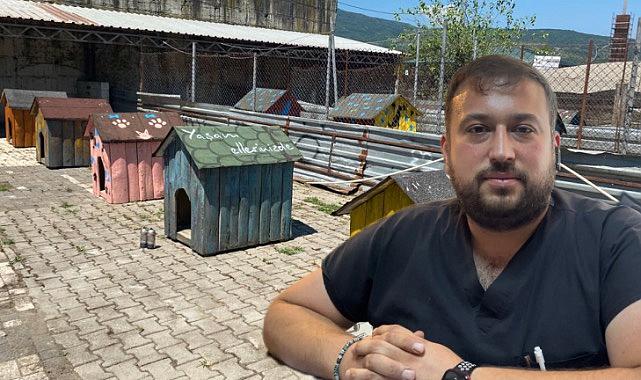 Her şey sokak hayvanları için..