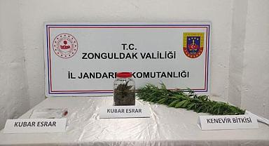 Jandarmadan uyuşturucu operasyonu