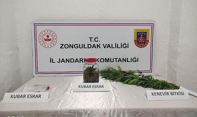 Jandarmadan uyuşturucu operasyonu