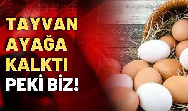Yumurtada büyük tehlike! Artık kimse gönül rahatlığıyla tüketemez