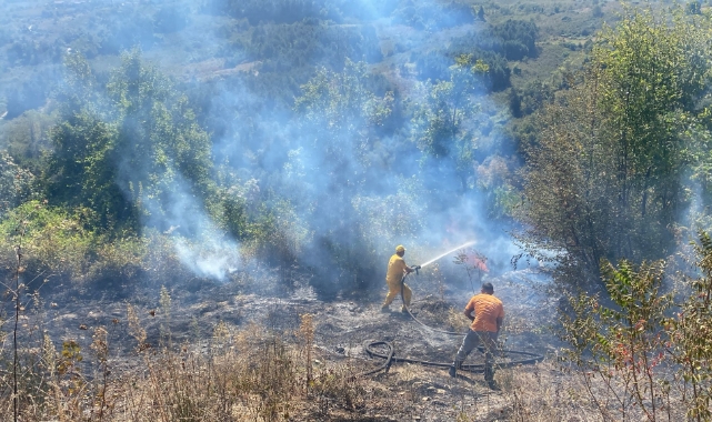Alaplı'da fındık bahçesi yandı!