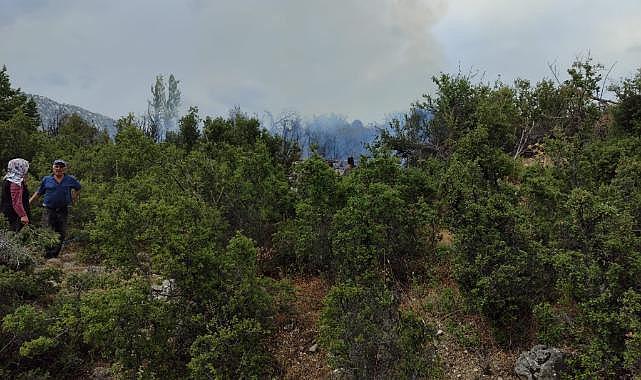 Bahçeyi temizlerken ormanı yaktı!