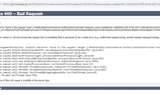 Başvuruya dakikalar kala E-devlet şoku!