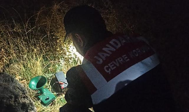 Ekipler ormanda bakın ne buldu!