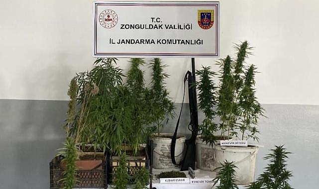 Evden çok sayıda uyuşturucu madde çıktı