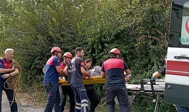 Fındık toplarken hastanelik oldu!
