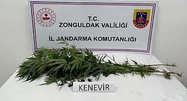 Jandarmanın arama yaptığı evden uyuşturucu çıktı