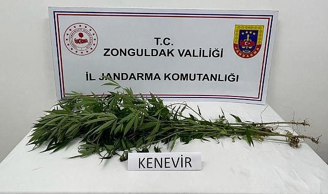 Jandarmanın arama yaptığı evden uyuşturucu çıktı