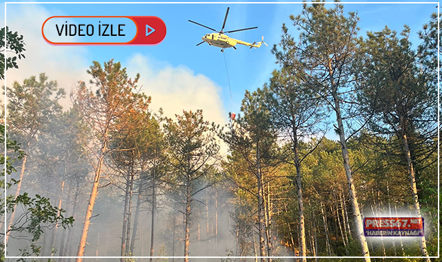 Karabük'te orman yangını; helikopterler havadan müdahale ediyor
