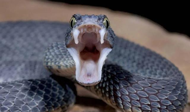 Zonguldak, Bolu, Kastamonu, Çorum ve Karabük bölgelerinde endişelendiren yükseliş!