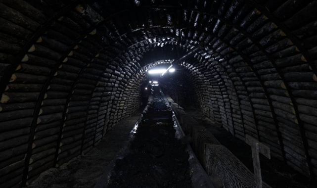 26 binlik başvuruda Mısır doğumlu Türk vatandaşı yerleşti!