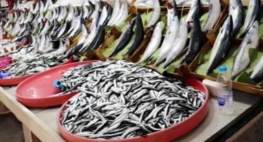 Balığa kota mı geliyor?