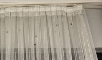 Bartın'da KYK yurdu tehlikede! Böcekler odaları esir aldı...