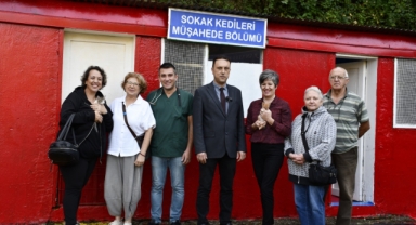 Hayvan Hakları Günü’nde Kedi Kafesleri Yenilendi