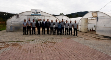 Kdz. Ereğli Belediyesi, kışlık çiçekleri seralarda üretiyor