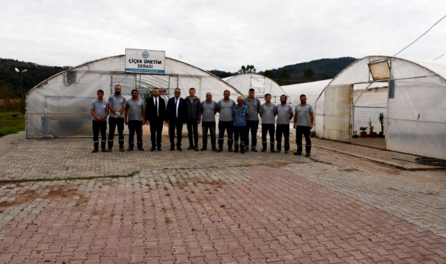 Kdz. Ereğli Belediyesi, kışlık çiçekleri seralarda üretiyor