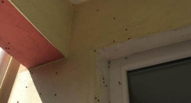 Köy halkı diken üstünde, yetkililerden açıklama geldi