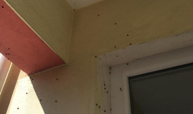 Köy halkı diken üstünde, yetkililerden açıklama geldi