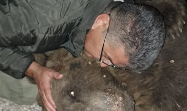 Ölen ayıya sarılıp, öptü