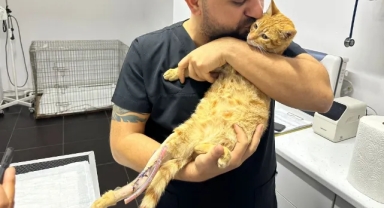 Araba çarptı: ayakları kırıldı!