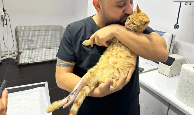 Araba çarptı: ayakları kırıldı!