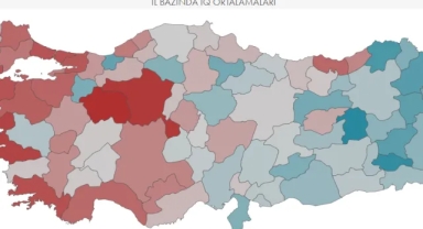 İllerin IQ testi tekrar gündeme oturdu! Düzce'de ortalık karıştı...