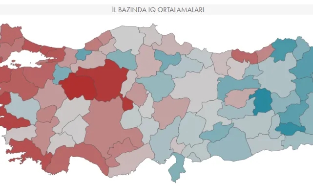 İllerin IQ testi tekrar gündeme oturdu!  Düzce'de ortalık karıştı...