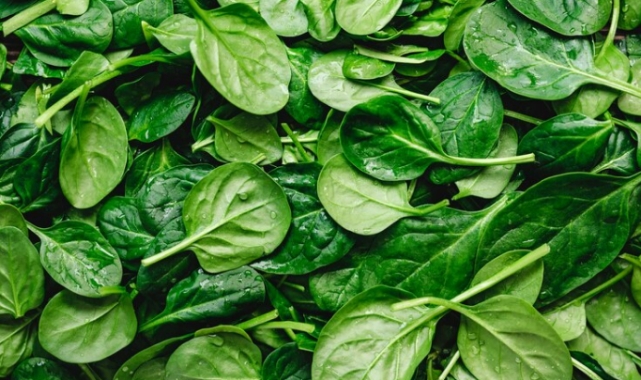 Ispanak Fiyatlarıyla Zirveye Oturdu: Pazar Alışverişlerinde Dikkat Çeken Yükseliş