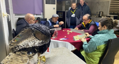 35 yıl sonra hindi ödülünün sahibi oldu