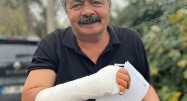 Kedilerin kavgası hastanelik etti!