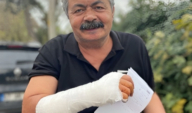 Kedilerin kavgası hastanelik etti!