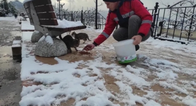 Belediye, sokak hayvanlarını unutmadı