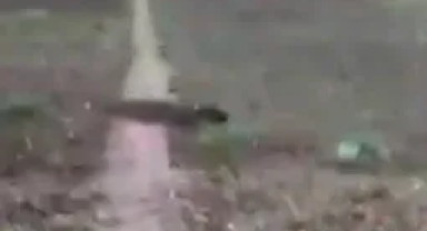 Çaycuma'da vahşet!