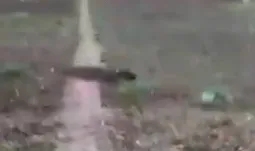 Çaycuma'da vahşet!