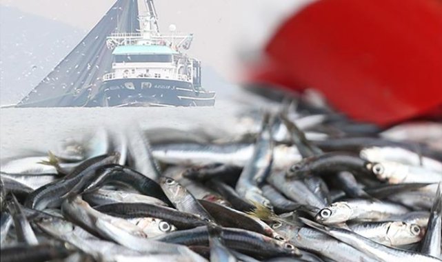 İstanbul Boğazı'nda '24 metre' tartışması: Sosyal medyada gündeme gelen iddialar sonrası isyan ettiler