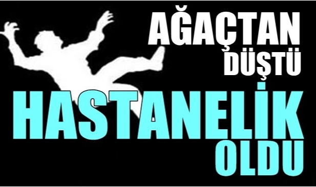 Zihinsel engelli adam gece vakti ağaçtan düştü!