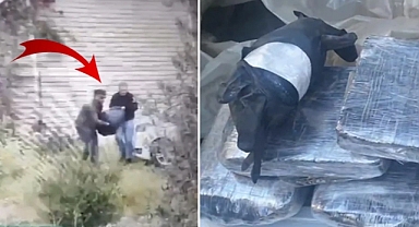 608 kilogram kokain ele geçirildi!
