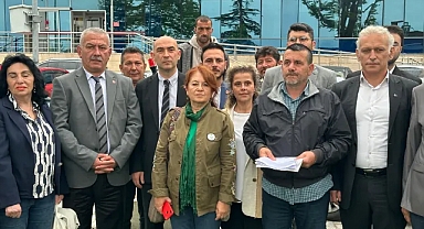 Bin 183 Yıllık Porsuk Ağacının Kesilmesine Suç Duyurusu
