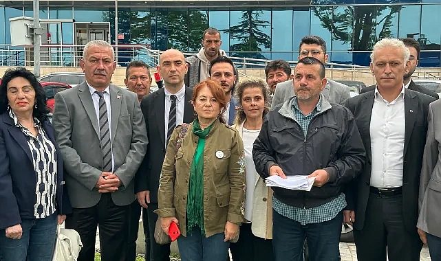 Bin 183 Yıllık Porsuk Ağacının Kesilmesine Suç Duyurusu