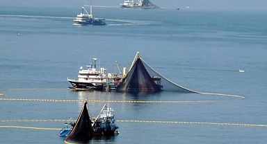Zonguldak açıklarında palamut gözüktü! Balıkçılar ümitli...
