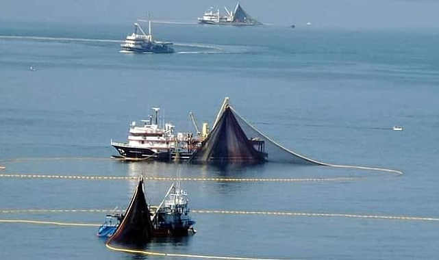 Zonguldak açıklarında palamut gözüktü! Balıkçılar ümitli...