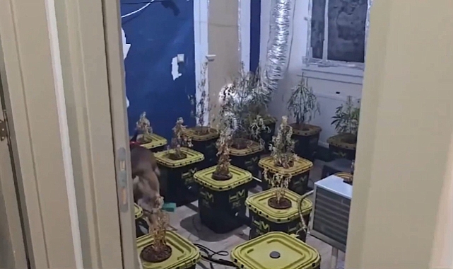 Aralarında Zonguldak'ta var.. 32 İlde NARKOÇELİK-40 Operasyonu: Uyuşturucu Tacirlerine Büyük Darbe