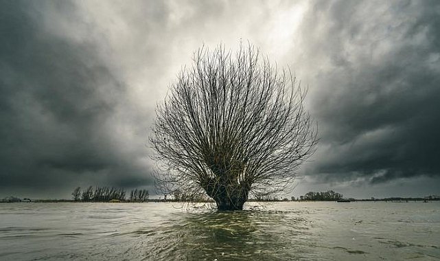 'Avrupa'yı kasıp kavuruyor' Felaket ihtimali 2 kat arttı! 'Varoluşsal bir tehdit'