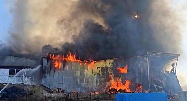 Balık yemi paketleme fabrikası alevlere teslim oldu