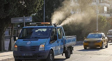 Buca Belediyesi, beyaz sineklere karşı ilaçlama başlattı