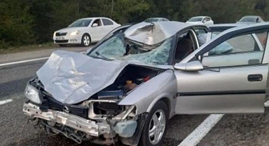 Çaycuma’da Başıboş Hayvan Kazaya Sebep Oldu: 4 Yaralı