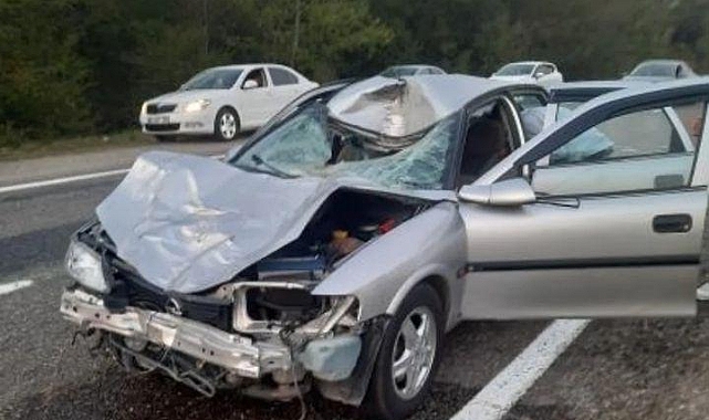 Çaycuma’da Başıboş Hayvan Kazaya Sebep Oldu: 4 Yaralı